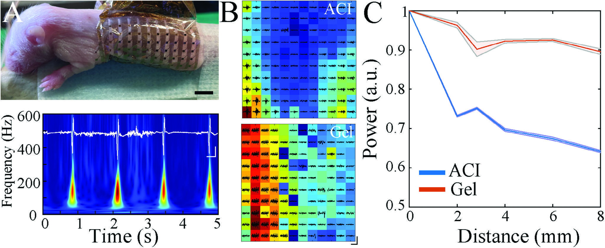 High-density epidermal interface array and spatial recording results.